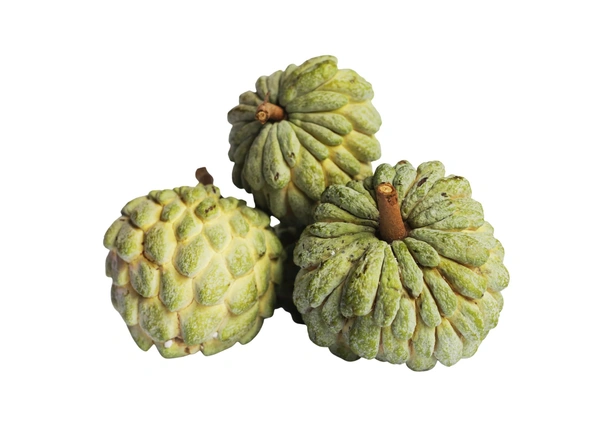 Custard Apple  500 g      (ಸೀತಾಫಲ) - 500g