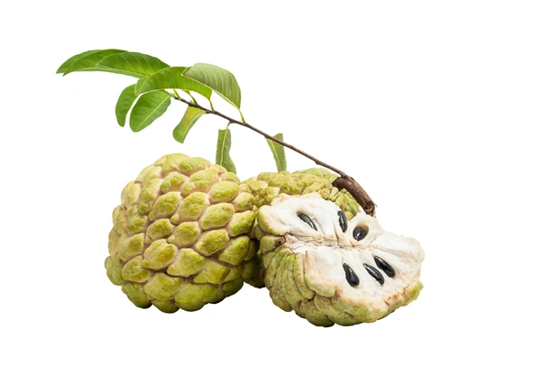 Custard Apple  500 g      (ಸೀತಾಫಲ) - 500g