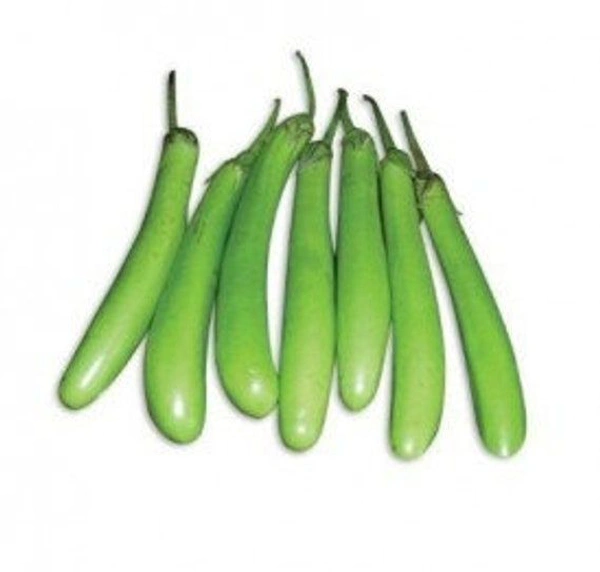  Green Long Brinjal  (Loose), 500 g (ಹಸಿರು ಉದ್ದನೆಯ ಬದನೆ) - 500 g