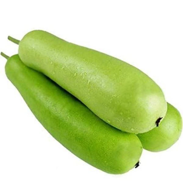 Baby Bottle Gourd 650g-850g ಬಾಟಲ್ ಸೋರೆಕಾಯಿ - 650g-850g