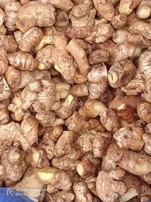 Ginger Regular Small Pieces - 250 g
