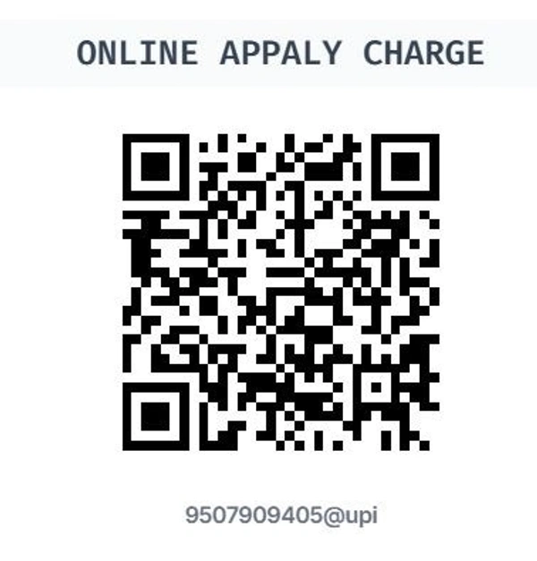 ONLINE CHARGE 30