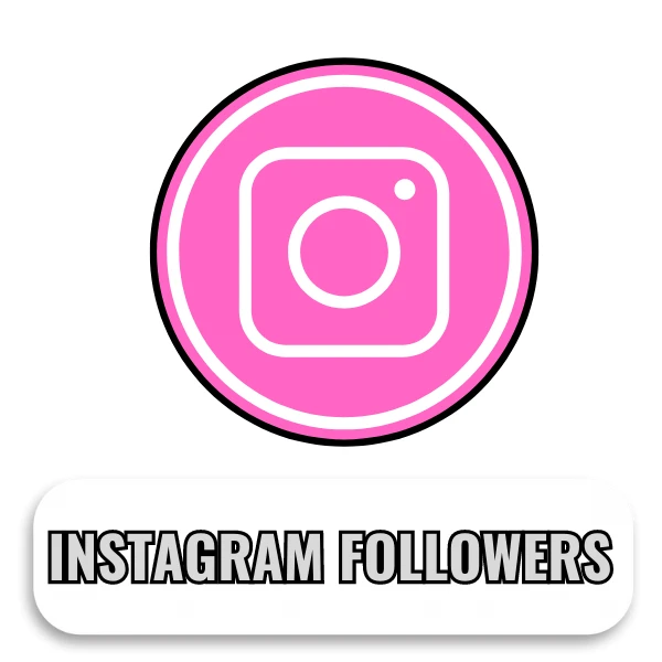 Instagram Real followers - 3000 followers