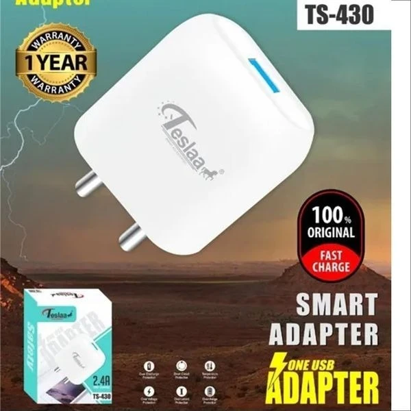 Teslaa 2.4A Charger With Type-C  - White