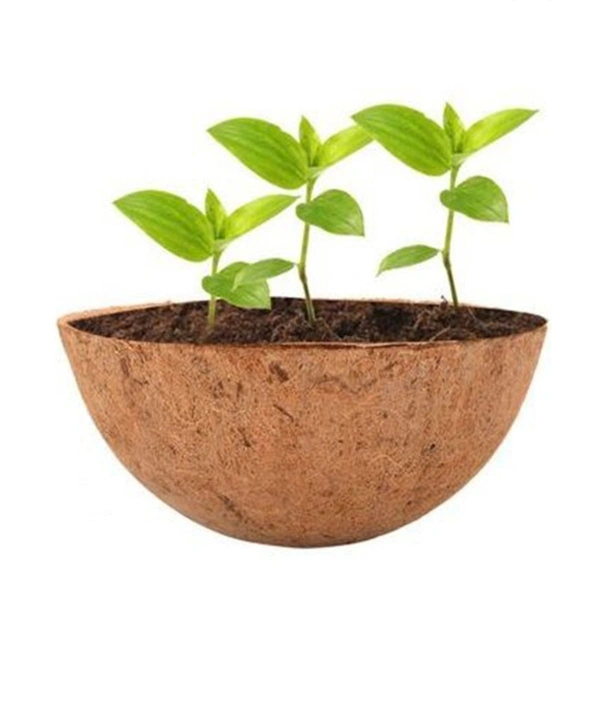 COIR Planter Pot/Liner/Basket - 2's Pack - 10inch, Brown