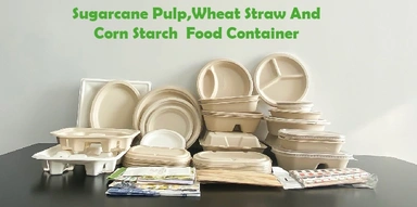 ECO ALTERNATIVES