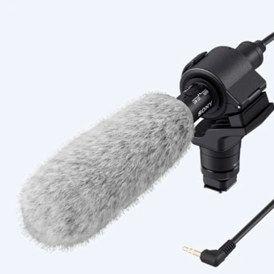 External Mic