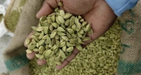 Green Cardamom or Choti Elayachi 100gm
