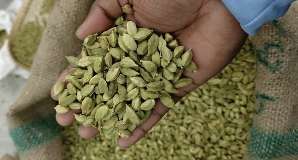 Green Cardamom or Choti Elayachi 100gm