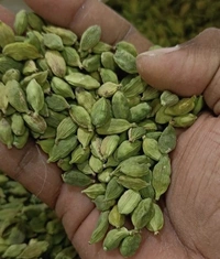 Green Cardamom or Choti Elayachi 100gm