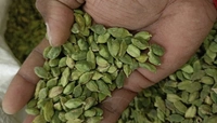 Green Cardamom or Choti Elayachi 100gm