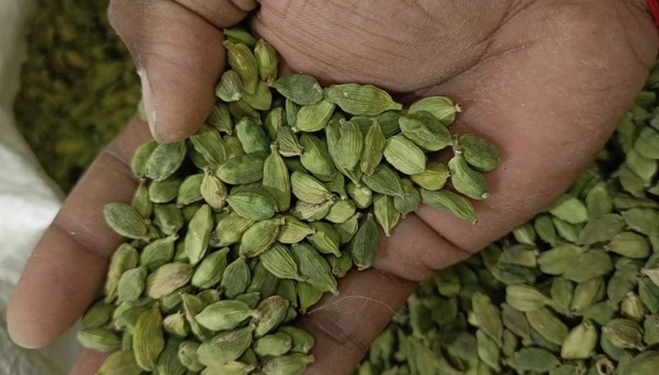 Green Cardamom or Choti Elayachi 100gm