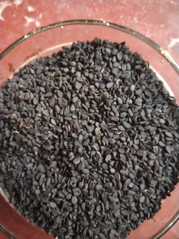 Kala Til or Black Sesame Seeds 100gm