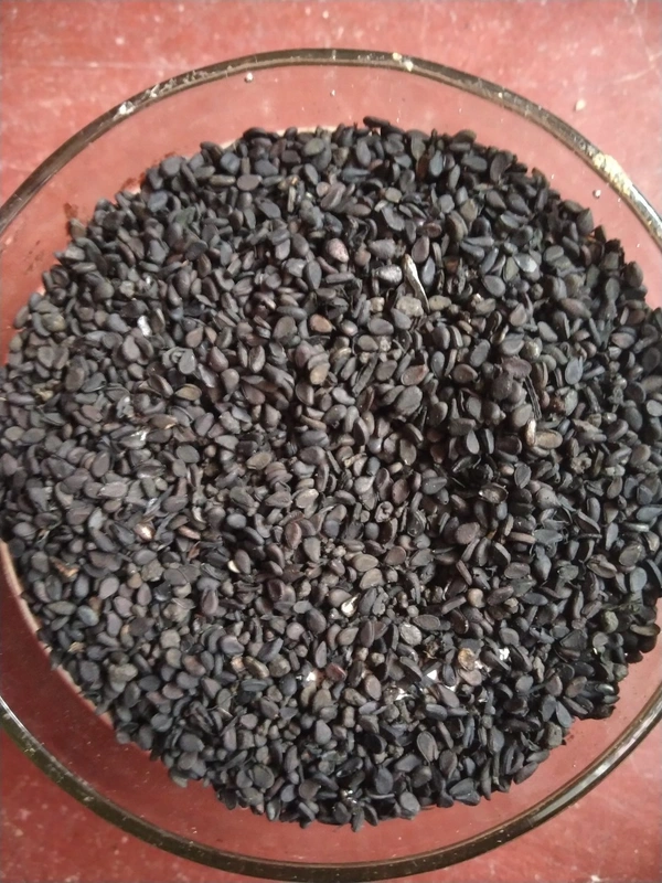 Kala Til or Black Sesame Seeds 100gm