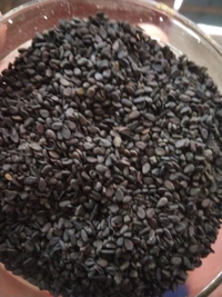 Kala Til or Black Sesame Seeds 100gm