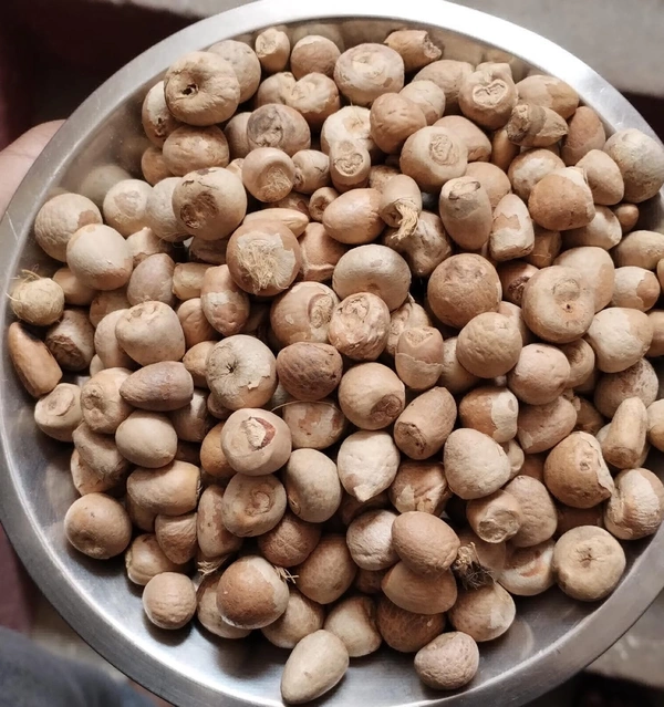 Puja Supari (Betel Nuts) For Puja - 100gm Pack, Gaya Ji Special 