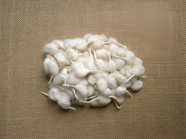 Pure Cotton Wicks (Batti) for Puja and Diya - 50 Piece Pack