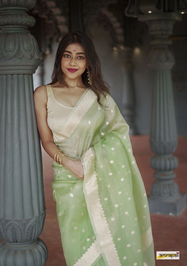 Azorte Fashion  Azorte Trendz Soft Lilan Slab Saree with Rich Pallu & Jacquard Work – Elegant & Stylish - Color 4