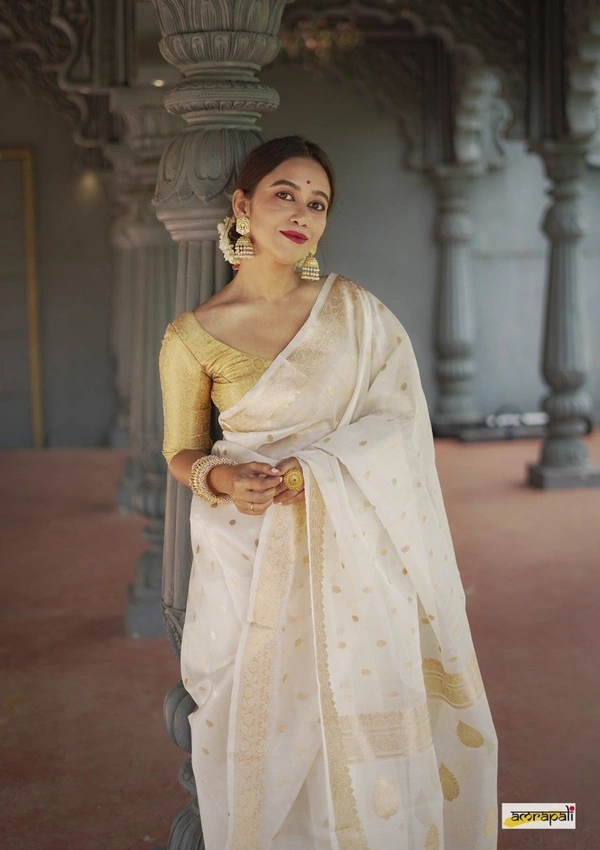 Azorte Fashion  Azorte Trendz Soft Lilan Slab Saree with Rich Pallu & Jacquard Work – Elegant & Stylish - Color 1