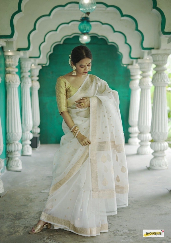 Azorte Fashion  Azorte Trendz Soft Lilan Slab Saree with Rich Pallu & Jacquard Work – Elegant & Stylish - Color 1