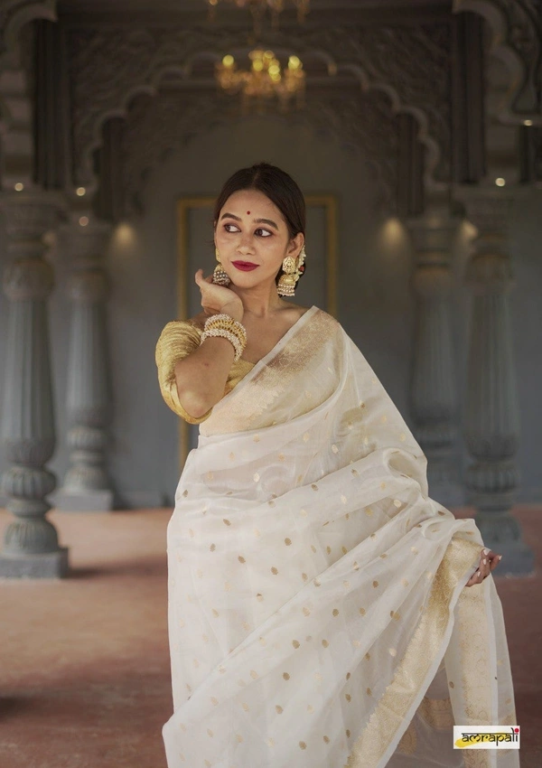 Azorte Fashion  Azorte Trendz Soft Lilan Slab Saree with Rich Pallu & Jacquard Work – Elegant & Stylish - Color 1