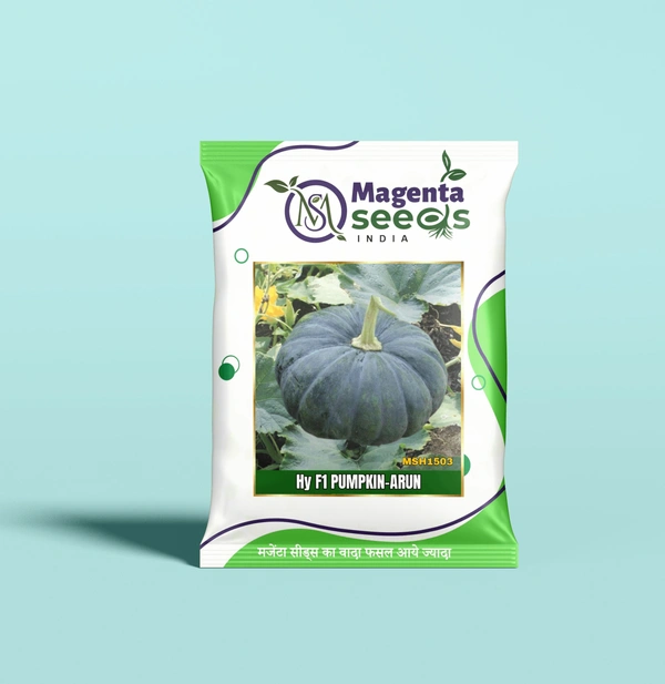 Magenta Seeds ARUN-Hybrid Pumpkin Gourd Seeds - 10 Gram