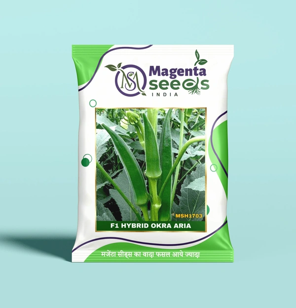 Magenta Seeds ARIA-Hybrid Okra/Bhendi Seeds - 100 Gram