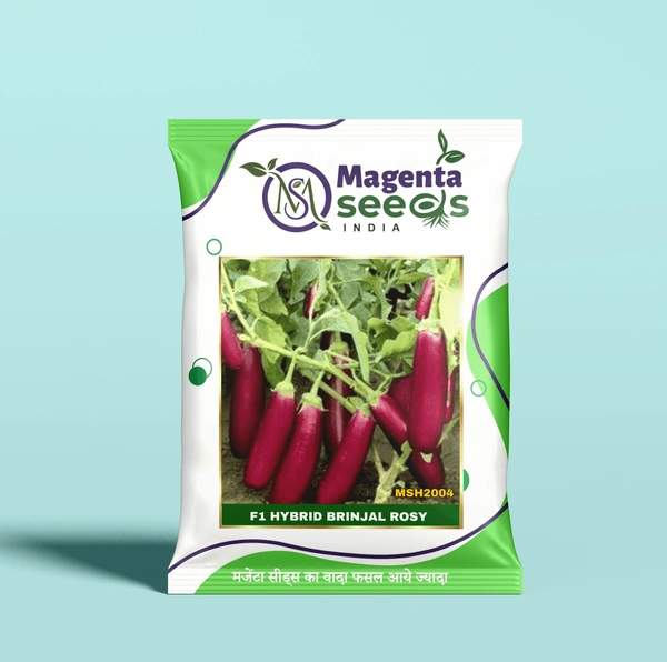 Magenta Seeds ROSY-Hybrid Brinjal Seeds - 10 Gram