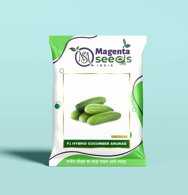 Magenta Seeds ANURAG-Hybrid Cucumber Seeds - 10 Gram