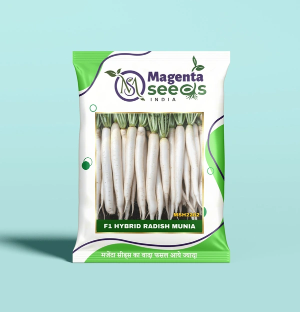 Magenta Seeds MUNIA-Hybrid Radish Seeds - 100 Gram