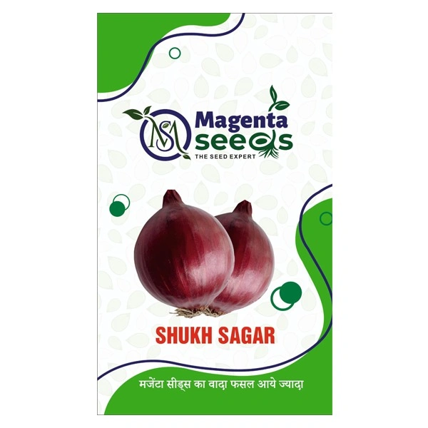 Sukh Sagar Onion Seeds - The Best Variety in West Bengal/ Jirat Shukh ...