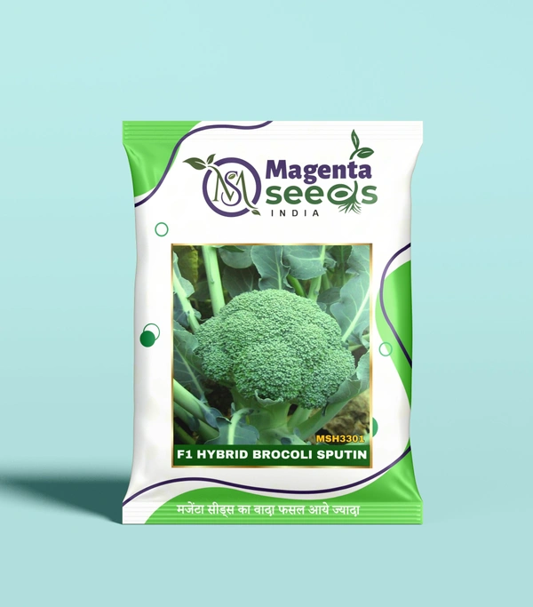 Magenta Seeds SPUTIN-Hybrid Brocoli Seeds - 10 Gram