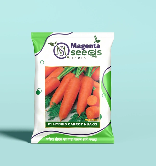 Buy Nua33 Hybrid Carrot Seeds 100g - High Yield | Magenta Seeds Buy Nua33 Hybrid Carrot Seeds 100g - High Yield | Magenta Seeds