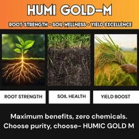 Magenta Biotech HUMI GOLD -M| _ Super Humic 98%, Black Shiny Flakes  - 500 Grams