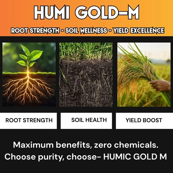 Magenta Biotech HUMI GOLD -M| _ Super Humic 98%, Black Shiny Flakes  - 500 Grams