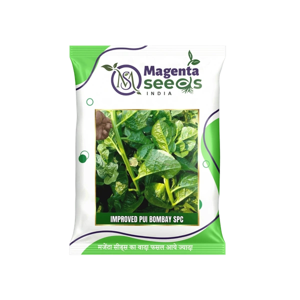 Magenta Seeds IMPROVED PUI BOMBAY SPC/  Malabar Spinach Seeds | Pui Saag Seeds | Ceylon Spinach Seed | - 50 Gram