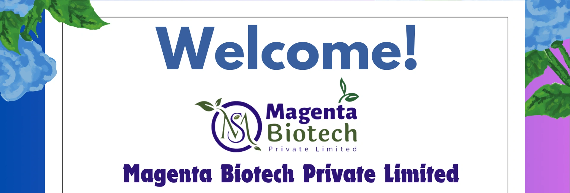 Magenta Seeds के साथ उगाएं बेहतरीन Desi Cucumber – गर्मी में ताजगी और स्वाद!