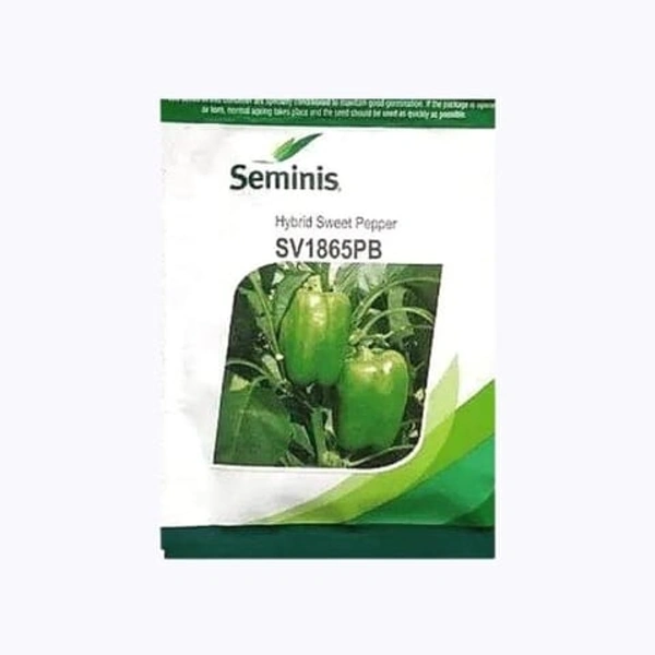 SV1865 Simla  - 10gm, Hybrid Sweet Pepper ( Capsicum)
