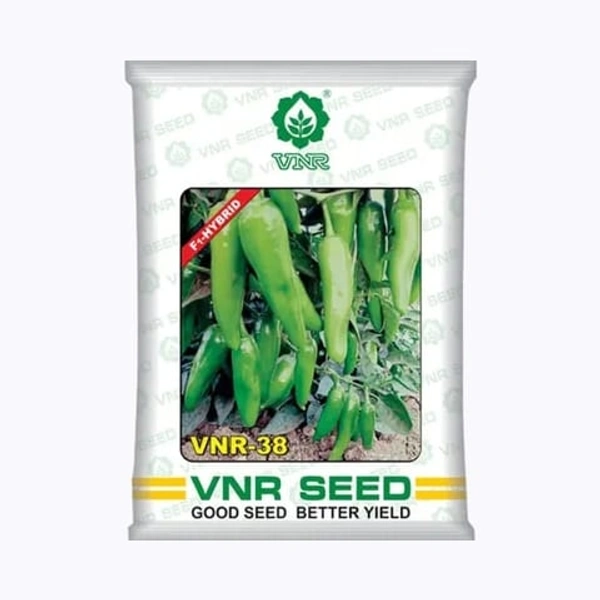 VNR-38 - 10gm, Chilli