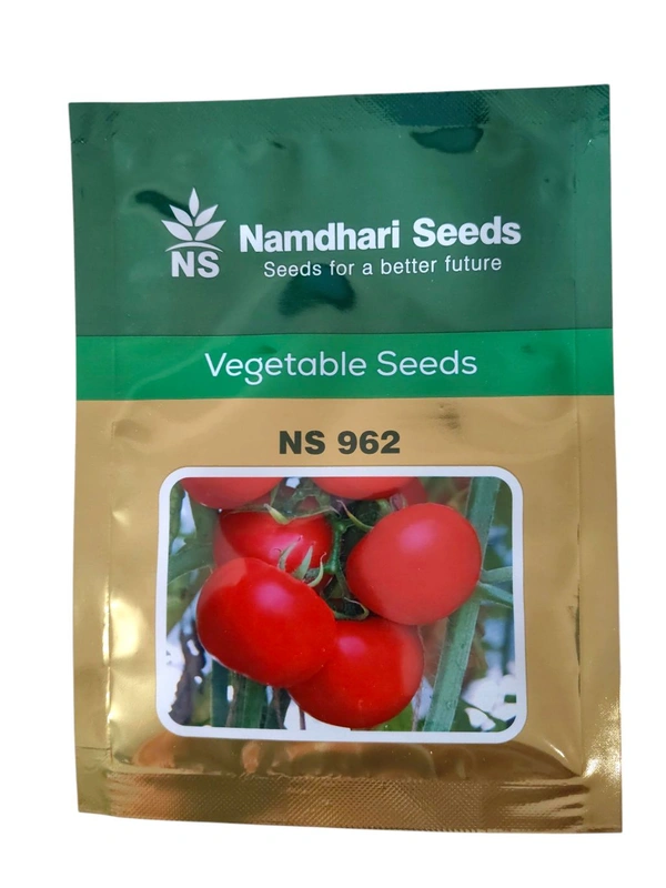 NS 962 - 10gm, Tomato