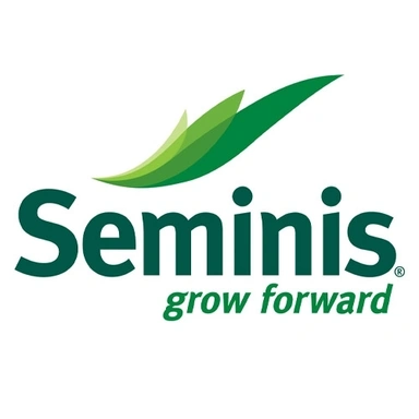 Bayer Seminis Seeds