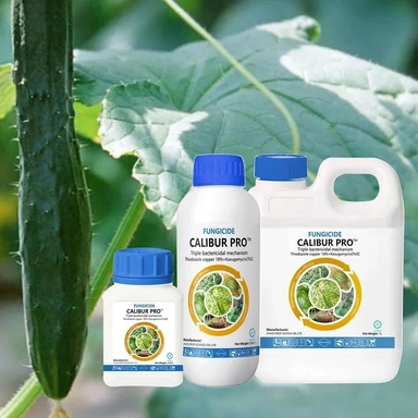 Fungicide