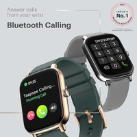 Noise Icon Buzz 1.69 Inch Display With Bluetooth Calling 