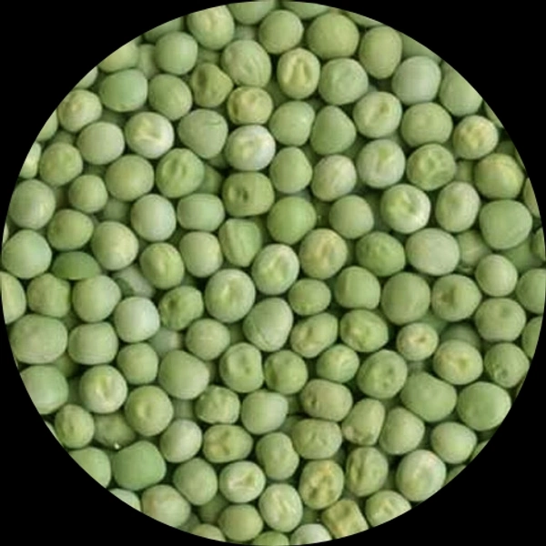 Dry Green Peas | பச்சை பட்டாணி - 1/2