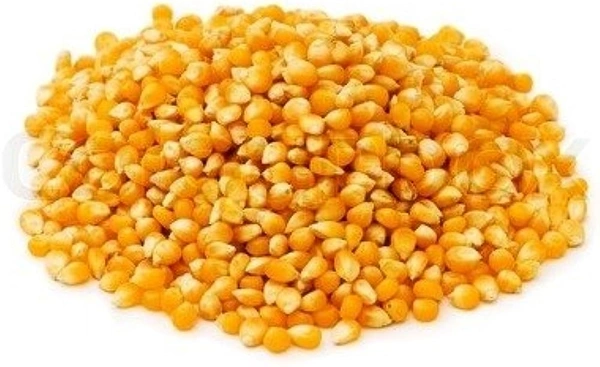 Maize | மக்காச்சோளம் - 1/4kg