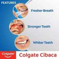 Colgate Cibaca Toothpaste - 175Gm