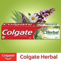 COLGATE HERBAL 100G