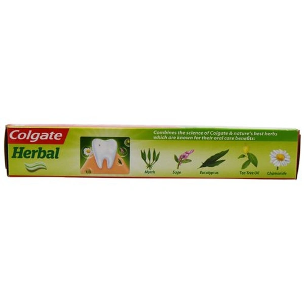 COLGATE HERBAL 100G