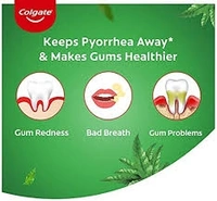 Colgate Active Salt Neem - 100Gm