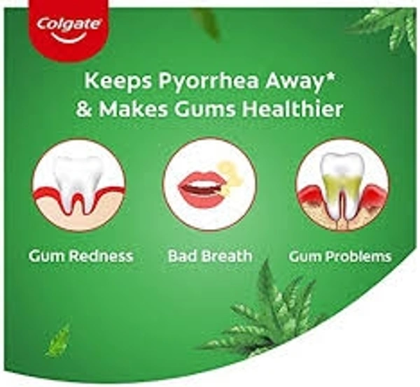 Colgate Active Salt Neem - 100Gm
